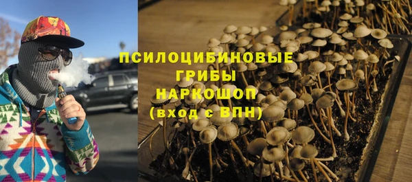 бошки Кинешма