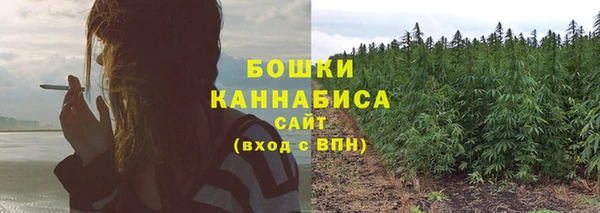 бошки Кинешма