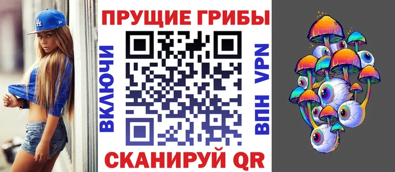 Псилоцибиновые грибы Cubensis  Купить закладки  Багратионовск 